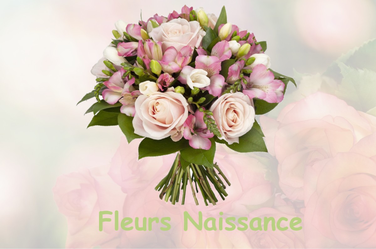 fleurs naissance TOULOUZETTE