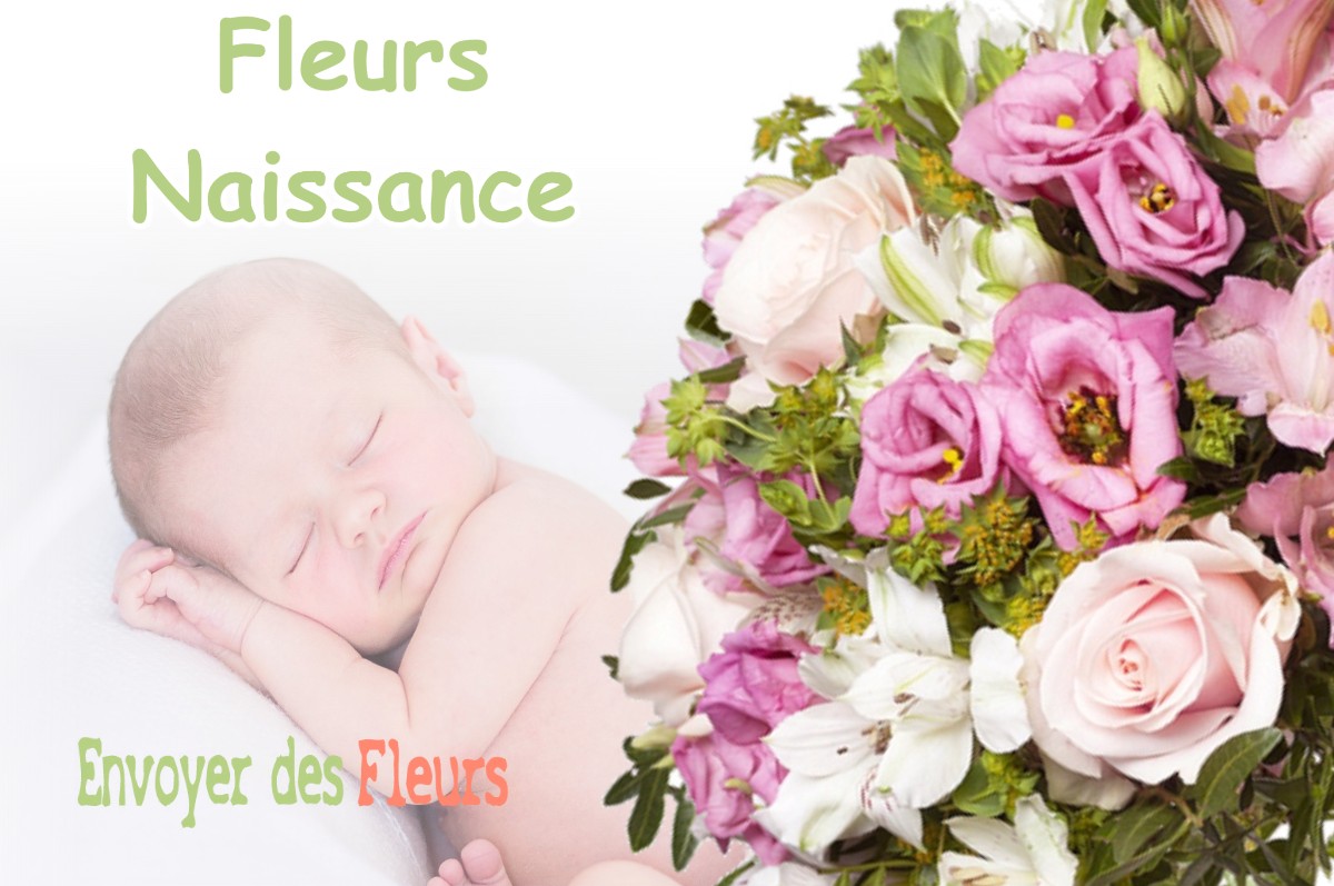 lIVRAISON FLEURS NAISSANCE à TOULOUZETTE